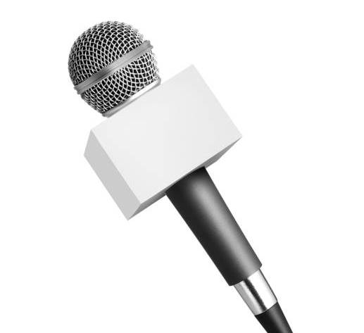Speaker / Presenter